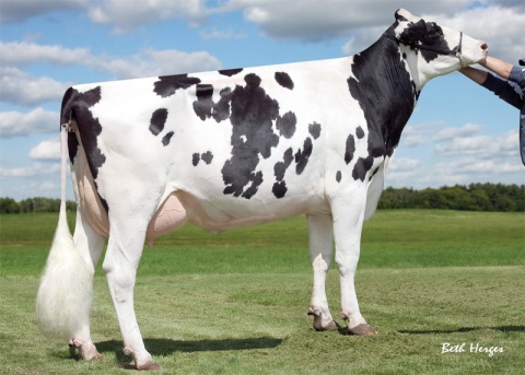LOM Sully Shottle May-TW EX-91